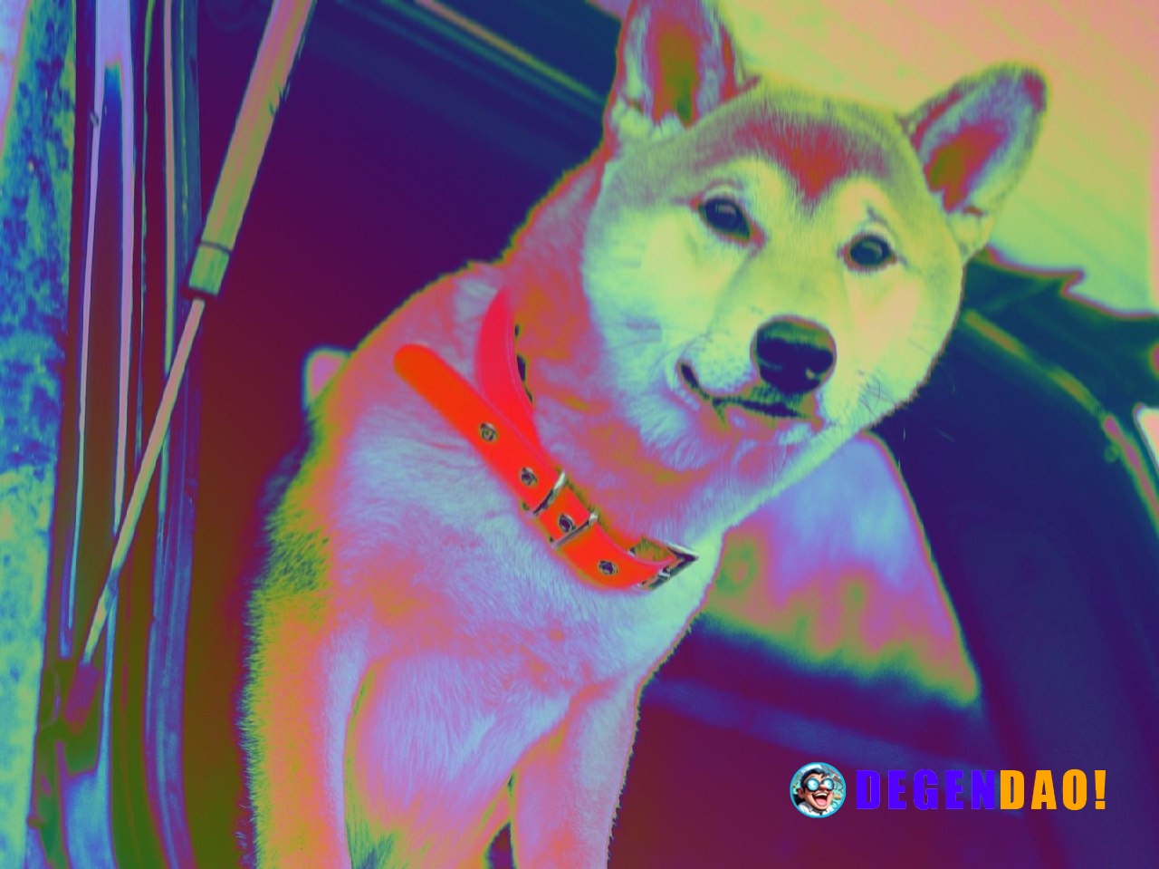 Vitalik Buterin recounts how shiba inu tokens became a $1 billion AI policy war chest The Ethereum co-founder said he ex...