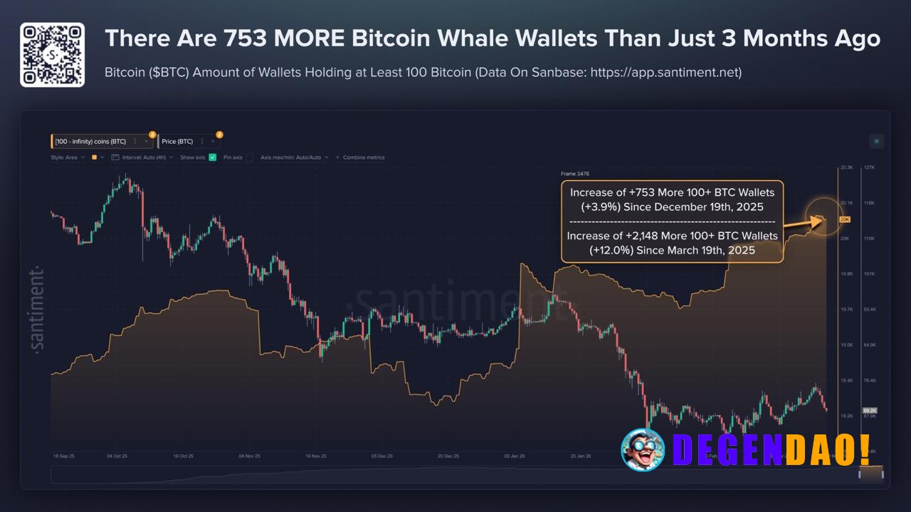 🔥 NOW: Bitcoin whale wallets holding 100+ $BTC have grown by 753 (+3.9%) in the past 3 months, even as prices dropped 20...