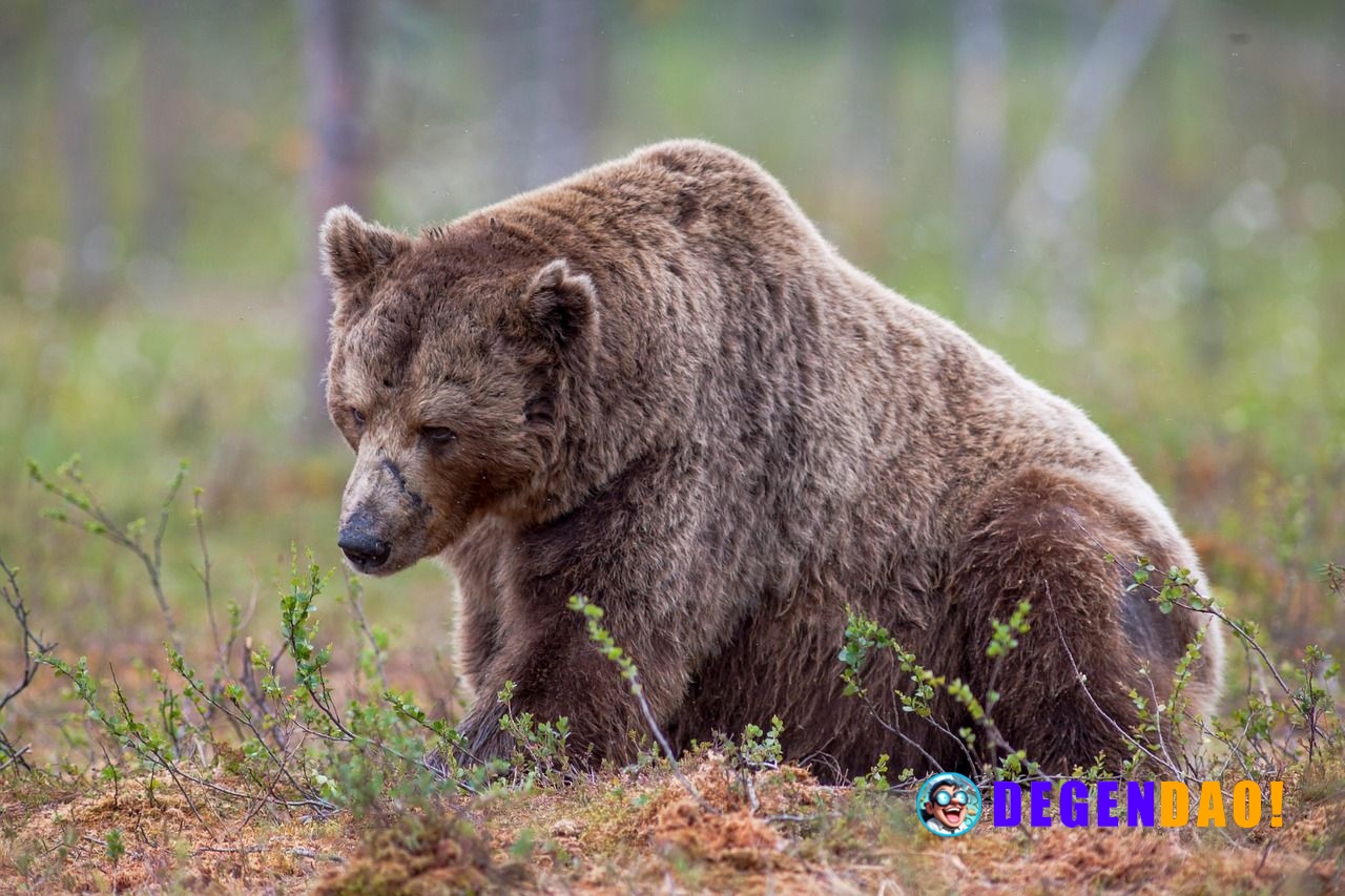 Crypto firms cut hundreds of jobs in weeks, blaming weak markets, strong AI A wave of crypto job cuts in early 2026 expo...