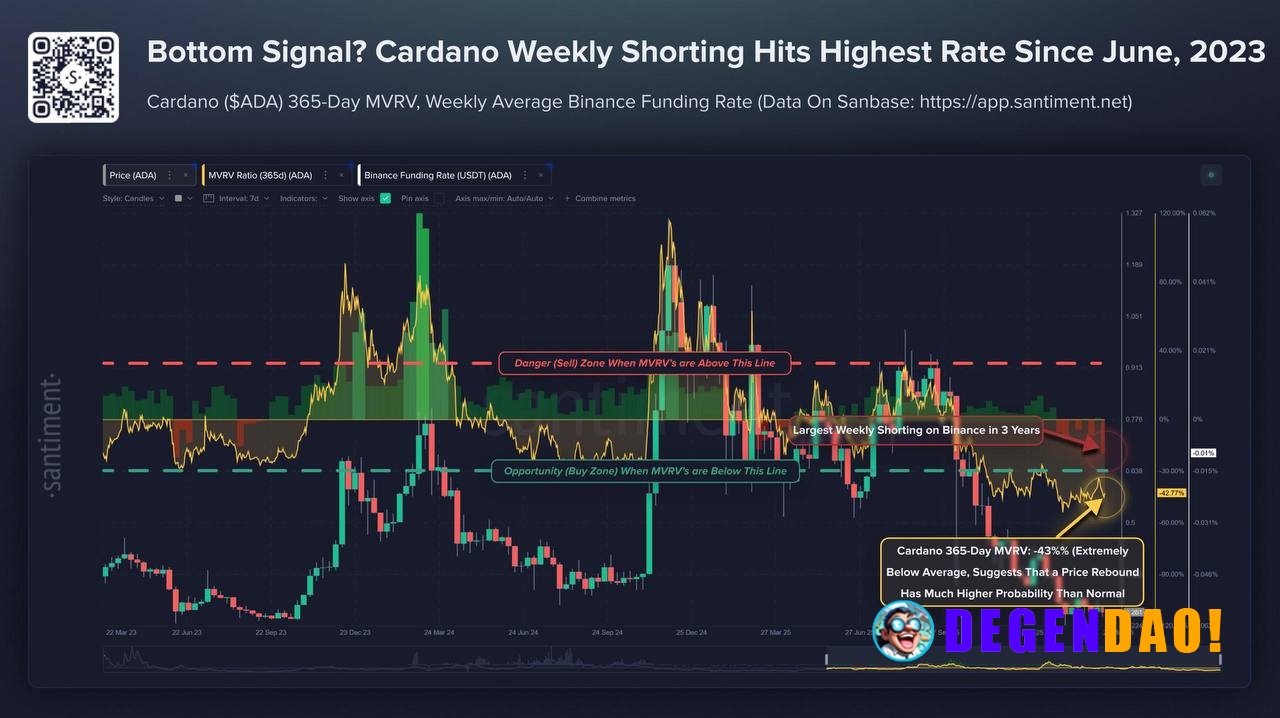 ADA looks bad, but setups like this are where I start paying attention. Average wallets are ~-43%, price down ~70% – mos...