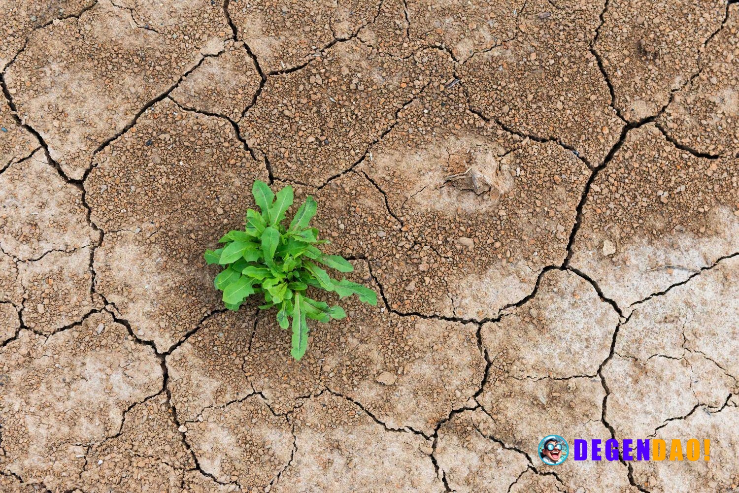 DeFi’s shakeout is a stress test, not a death sentence Novozhenov argues that despite lingering governance, security and...