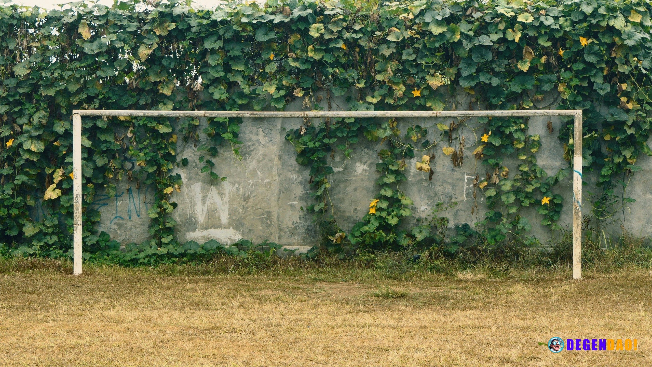 Bitcoin hits a wall – the chart just challenged the $88,000 bull case The price action is sending a clear warning signal...