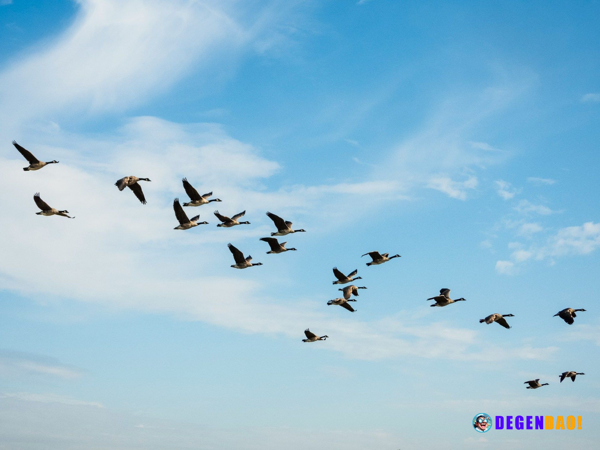 The $700 million migration: Why Solv Protocol is ditching LayerZero for Chainlink The combined migrations by Solv and Ke...