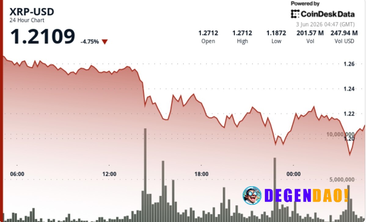 Bullish XRP signals are piling up. The price keeps falling. XRP lost another major support level on heavy selling, with ...