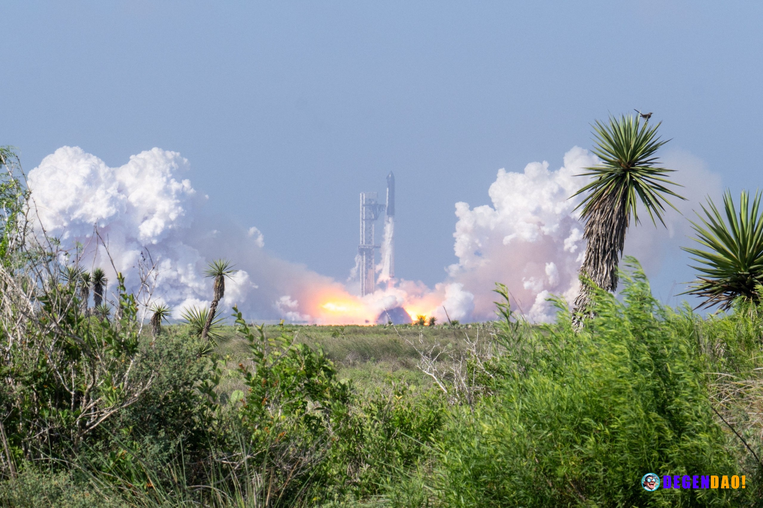 SpaceX targets record $75 billion IPO as bitcoin treasury and liquidity risks draw focus SpaceX's proposed $75 billion I...