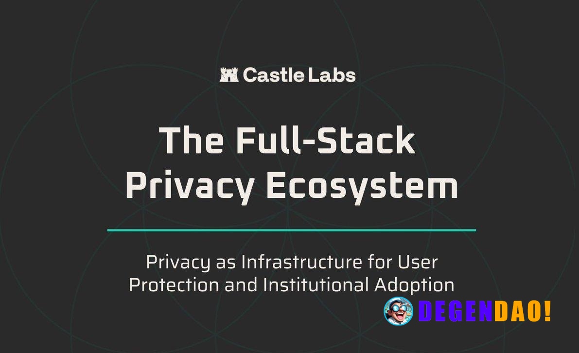 The Full-Stack Privacy Ecosystem: Privacy as Infrastructure for User Protection and Institutional Adoption Covers the co...