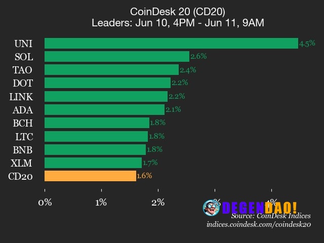 CoinDesk 20 performance update: Uniswap (UNI) gains 4.5% as all constituents rise Solana (SOL), up 2.6% from Wednesday, ...