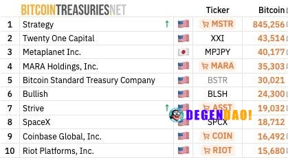 ⚡ HUGE: SpaceX is now the 8th largest public Bitcoin-holding company. _ 〽️ Crypto Pulse 👉 @degendaoinfo