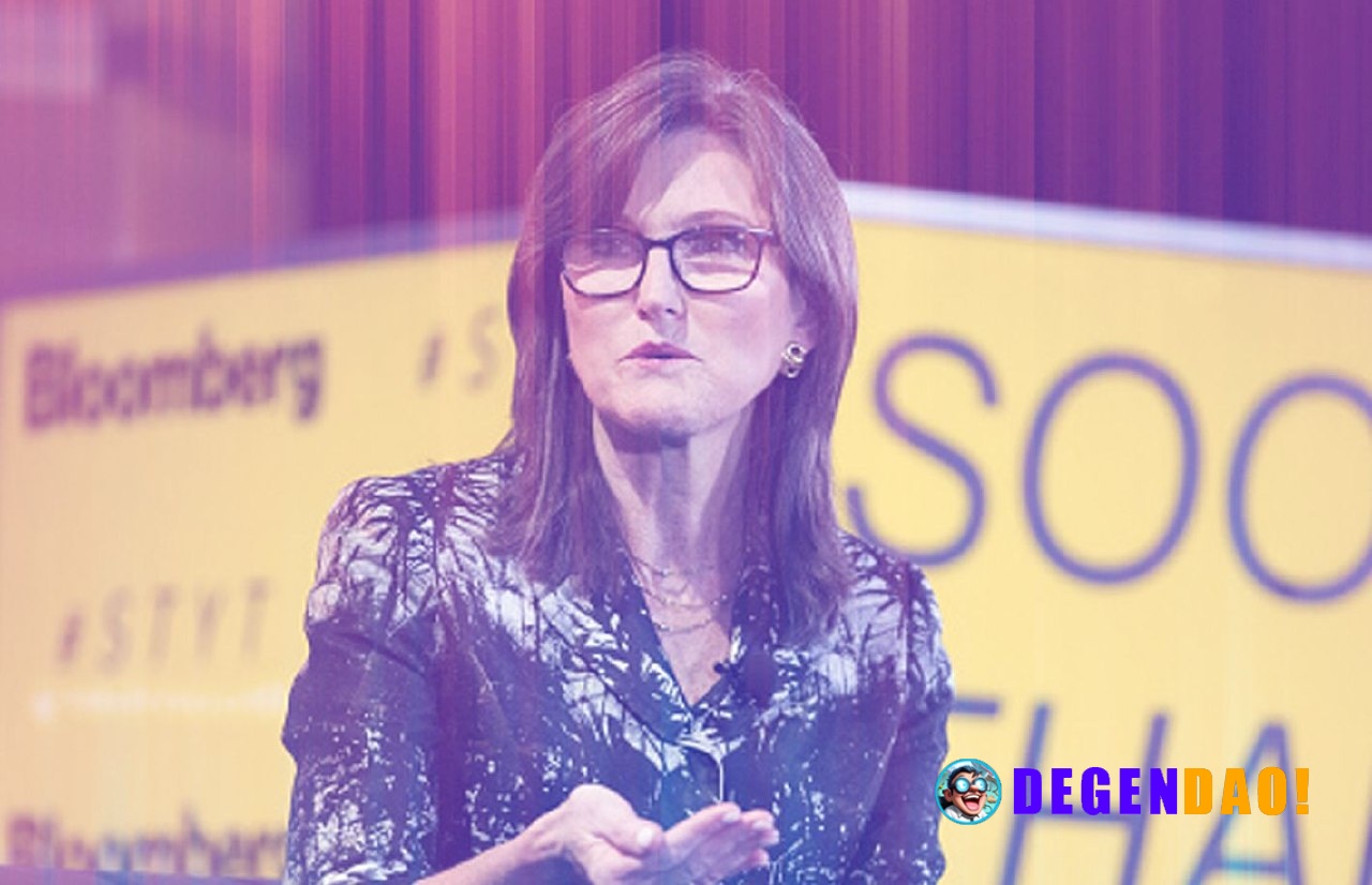 Ark Invest bought more than $500 million worth of SpaceX shares on IPO day The purchases were likely funded by selling o...